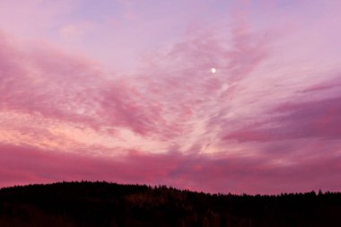 Moon ile pembe gökyüzü