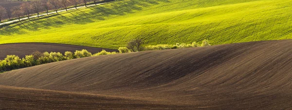 Paesaggio primaverile con campo — Foto Stock