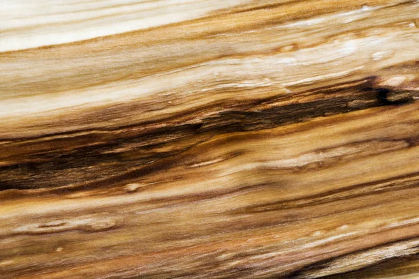 Textura de madeira (fundo ) — Fotografia de Stock