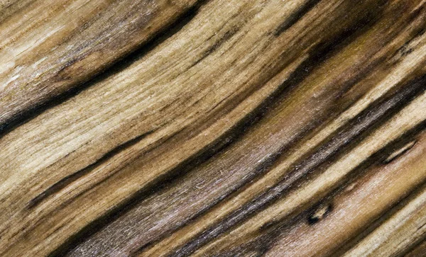 Текстура дерева (фон) ) — стоковое фото