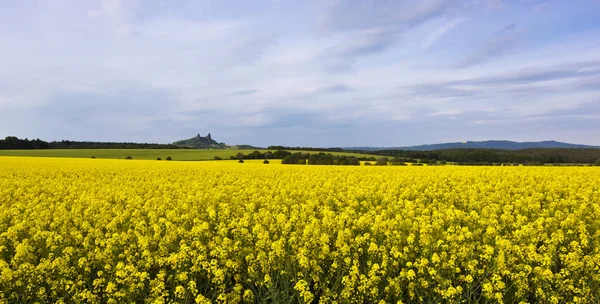 The landscape with ruin of castle and fields — Stock Photo, Image