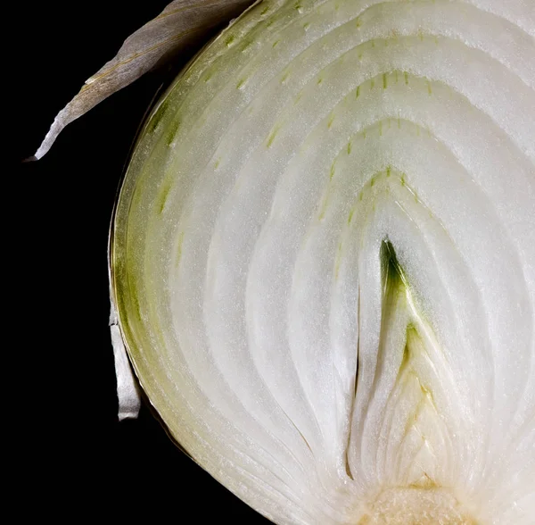 Detail of half a white onion — Stock Photo, Image