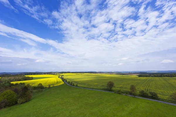 Paesaggio primaverile con campi, prati e una strada — Foto Stock