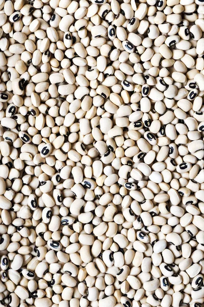 Black-eyed peas (black-eyed beans or goat peas). Background — Stock Photo, Image