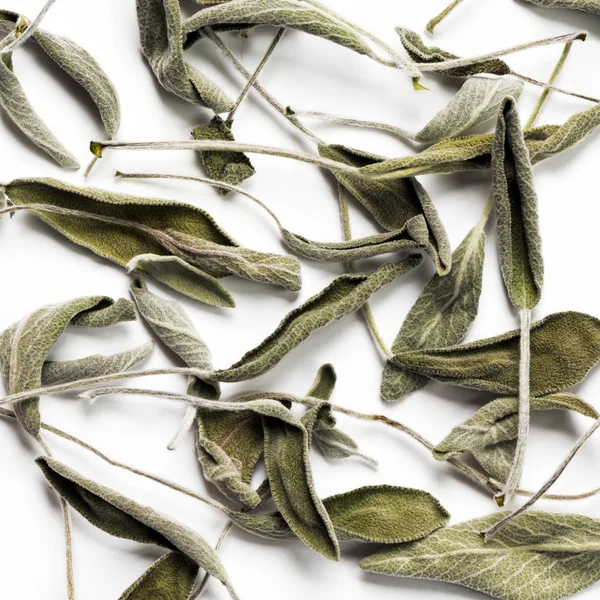 Dried sage (salvia) leaves — Stock Photo, Image