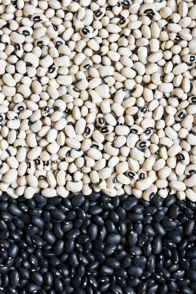 Black beans and black-eyed peas (black-eyed beans or goat peas) — Stock Photo, Image