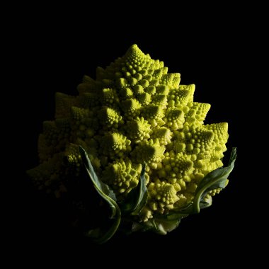 Siyah arkaplanda Romanesco brokoli