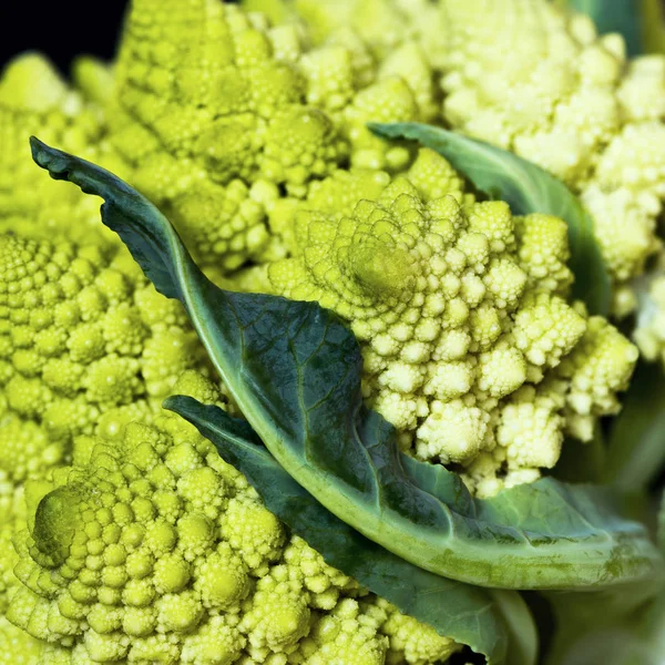 Romanesco brokkoli, római néven karfiol részlete — Stock Fotó