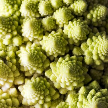 Romanesco brokoli, olarak da bilinen Roma karnabahar detay