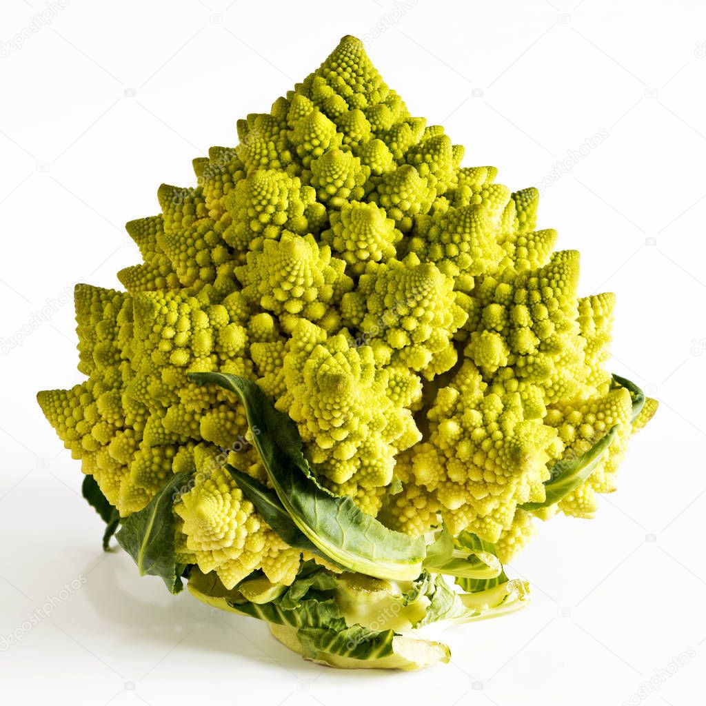 Romanesco broccoli on a white background