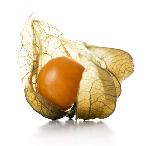 Physalis, fruit met papierachtige husk — Stockfoto