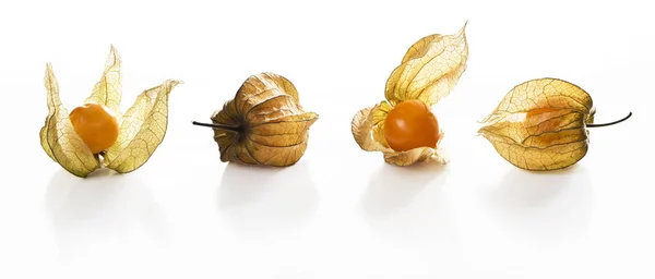 Physalis, Früchte mit papieriger Schale lizenzfreie Stockfotos