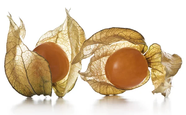 Physalis, frukter med pappersaktig skalet — Stockfoto