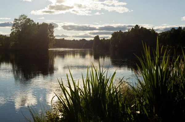 Paisagem com um rio, árvores e plantas. Suécia — Fotografia de Stock