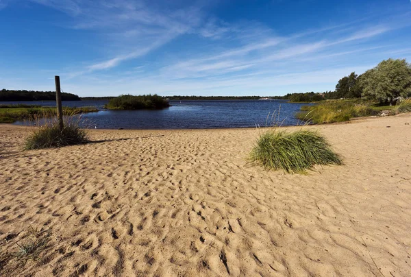 Sandy shore and water in late summer. Finland — Stock Photo, Image