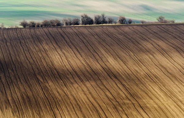 Jarní krajina s hnědá a zelená pole a stromy — Stock fotografie