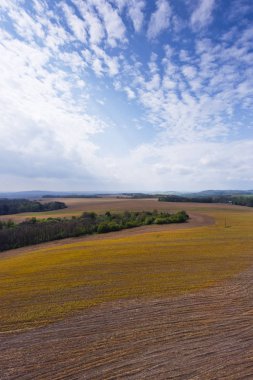 Bahar peyzaj alanı, orman ve gökyüzü