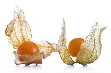 Physalis, gebe kabuğu ile meyve