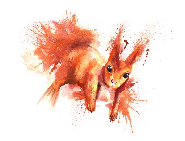 Red Forest Squirrel Abstract Watercolor Illustration White Background Wild Animals Stock Image