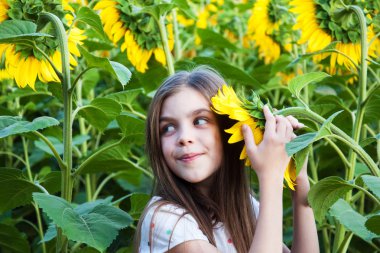 Ayçiçeği tarlası gurl