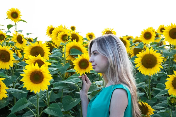 Girl on the field of sunflowers — Stock Photo, Image