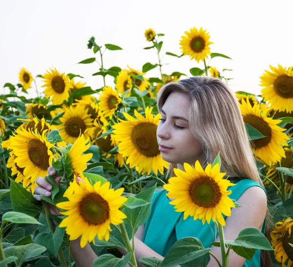 Dívka na pole slunečnic — Stock fotografie