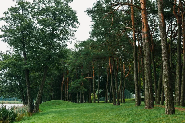 Bulutlu havada gölün kenarında güzel yeşil bir park.