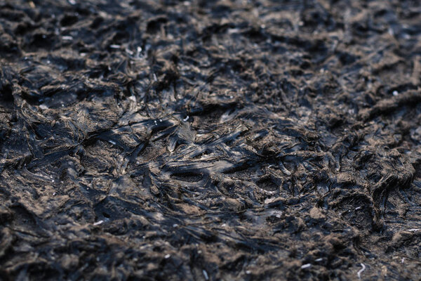 Текстура замерзшей грязи. Понятие мертвой земли, планеты. Селективный фокус
