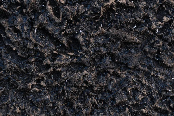 Текстура Замороженого Бруду Поняття Мертвої Землі Планета — стокове фото