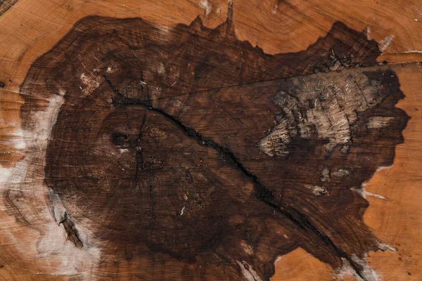 Dark texture of an old apple tree cut