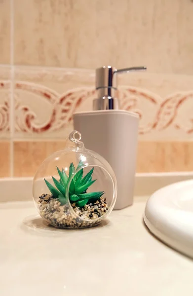 Детали ванной комнаты с мыльницей и растением — стоковое фото