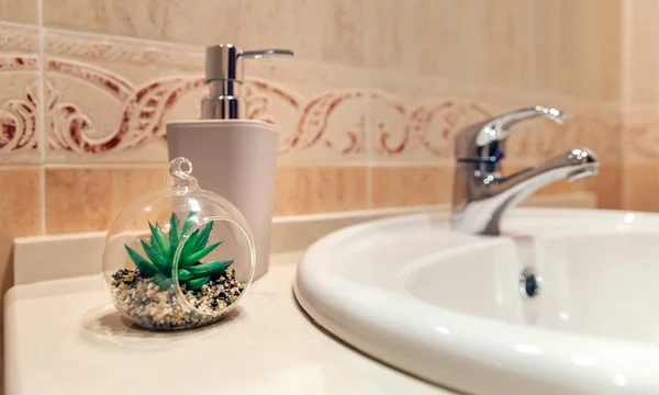 Waschbecken mit Wasserhahn, Seifenspender und Pflanze — Stockfoto