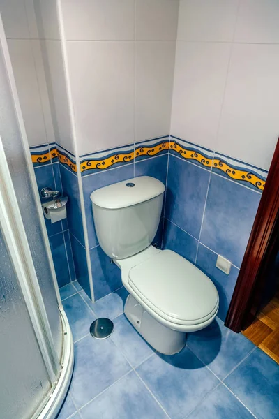 Baño pequeño con inodoro y mampara de ducha — Foto de Stock