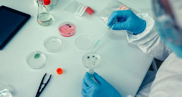 研究室でペトリ皿を持つ科学者 — ストック写真