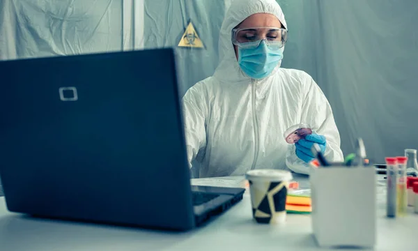 Wetenschapper werkt met laptop in het laboratorium — Stockfoto
