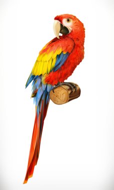 Ara papağan. Macaw, ne kadar çok şey var? Fotoğraf gerçekçi. 3b vektör simgesi
