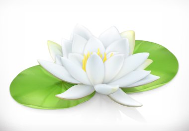 Water lily. Lotus flower. 3d vector icon clipart