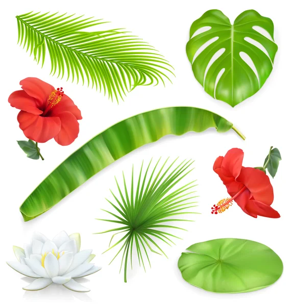 Jungle. Set van bladeren en bloemen. Tropische planten. 3D vector iconen — Stockvector