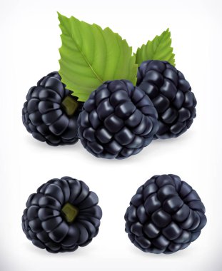 BlackBerry. Tatlı meyve. Orman berry. 3D vektör simgeler kümesi. Gerçekçi illüstrasyon