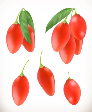 Goji berry. 3D vektör simgeler kümesi. Gerçekçi illüstrasyon
