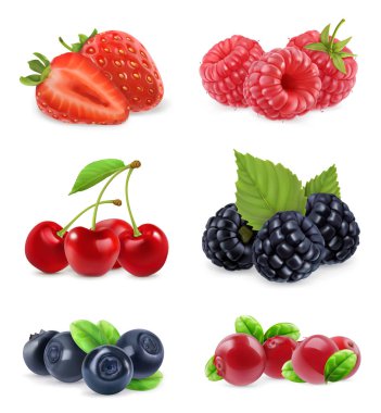 Forest berry. Sweet fruit. Realistic illustration. 3d vector icon set clipart