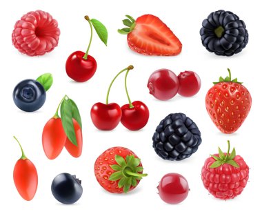 Forest berry. Sweet fruit. 3d vector icons set. Realistic illustration clipart