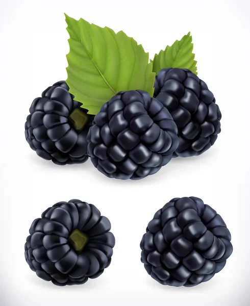 Blackberry. Buah manis. Hutan berry. Set ikon vektor 3d. Ilustrasi realistis - Stok Vektor