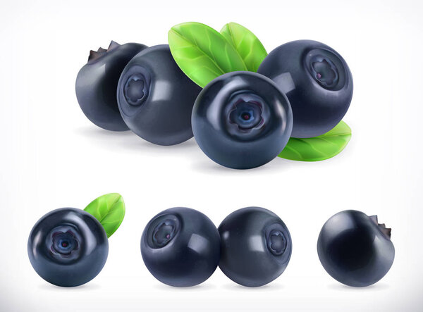 Blueberry. Sweet fruit. Forest berry. 3d vector icons set. Realistic illustration
