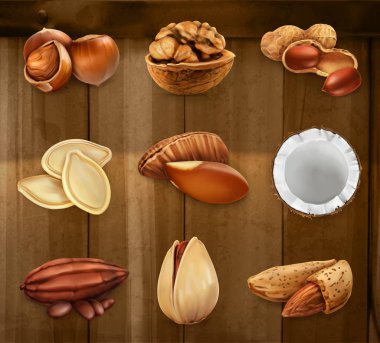 Fındık kabuğu. Fıstık, fıstık, fındık, kakao, ceviz