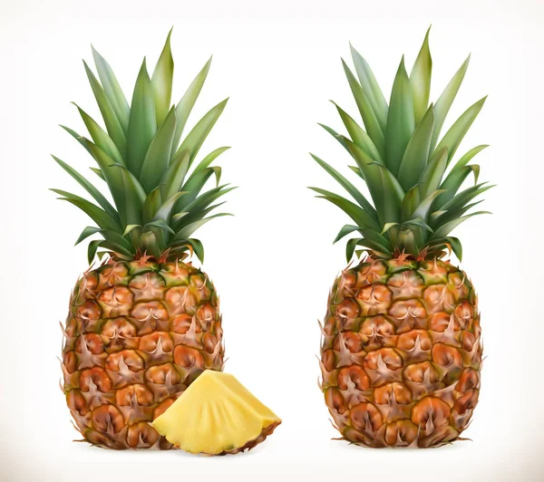 Ananas. Bütün ve parçalar. Tatlı meyve. 3D vektör simgeler kümesi. Gerçekçi illüstrasyon — Stok Vektör