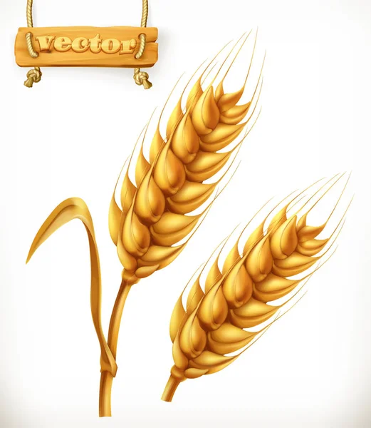 Уши иконы пшеницы — стоковый вектор