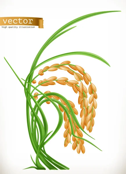 Frischer Reis — Stockvektor