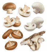 jedlé houby ikony nastavit