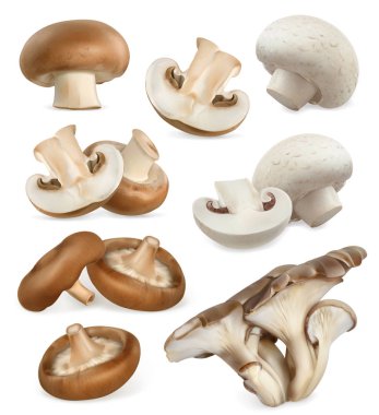 Edible mushrooms icons set clipart